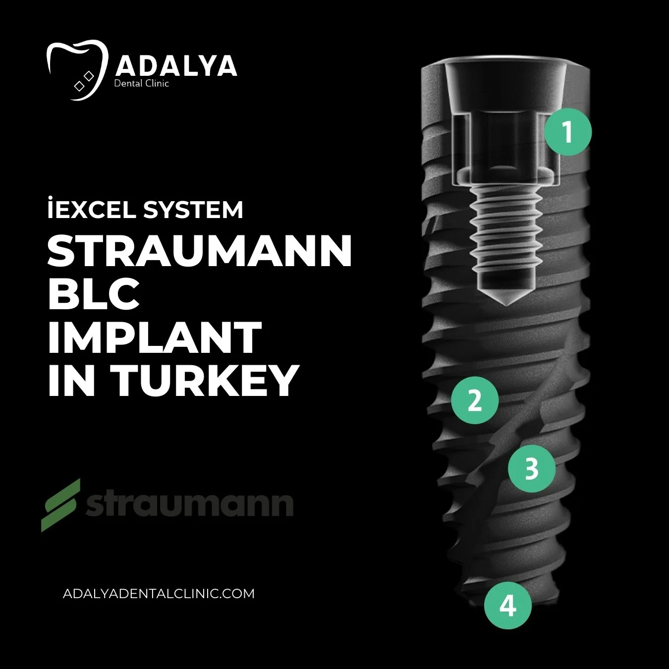 straumann blc dental implant in turkey