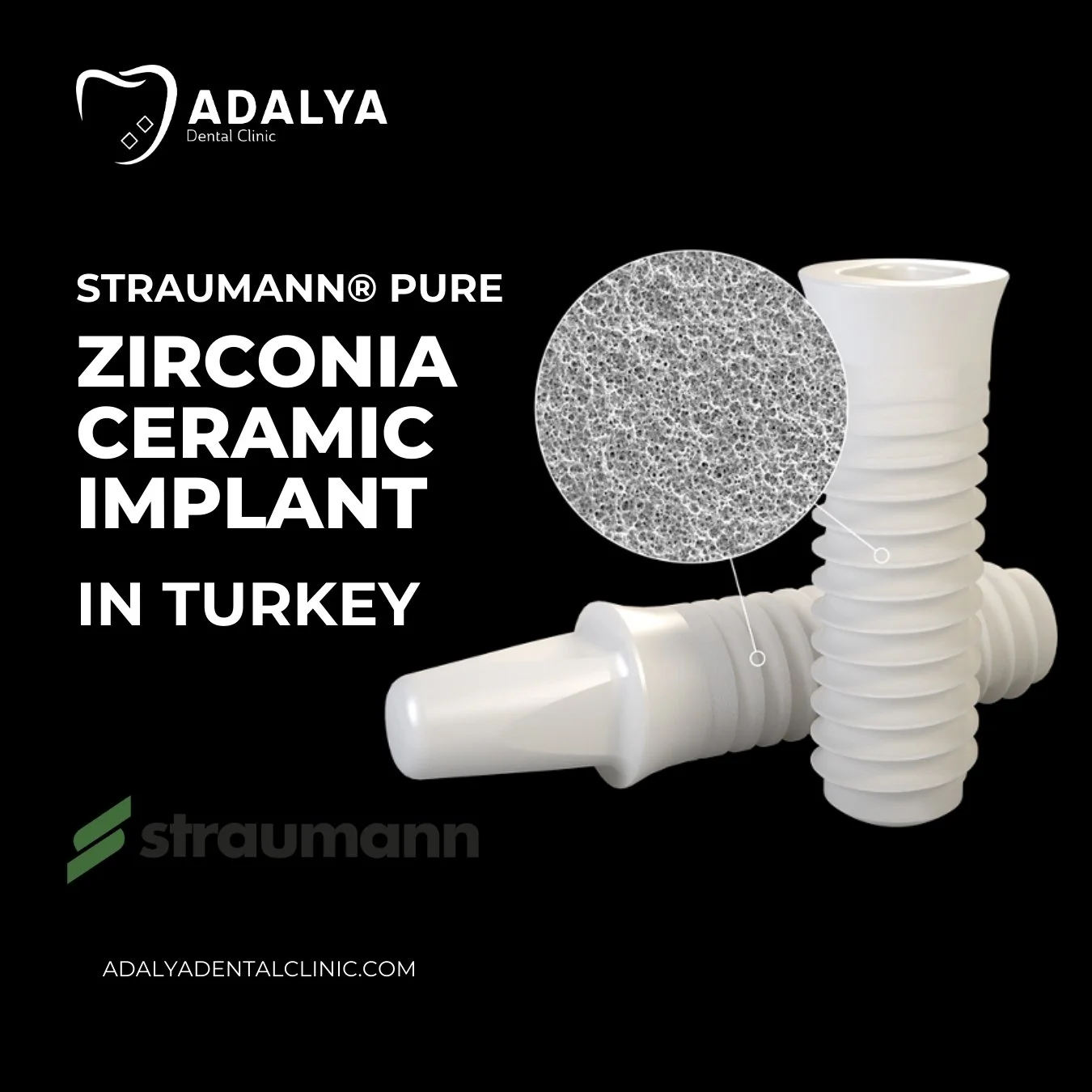 straumann zirconia ceramic implant in turkey