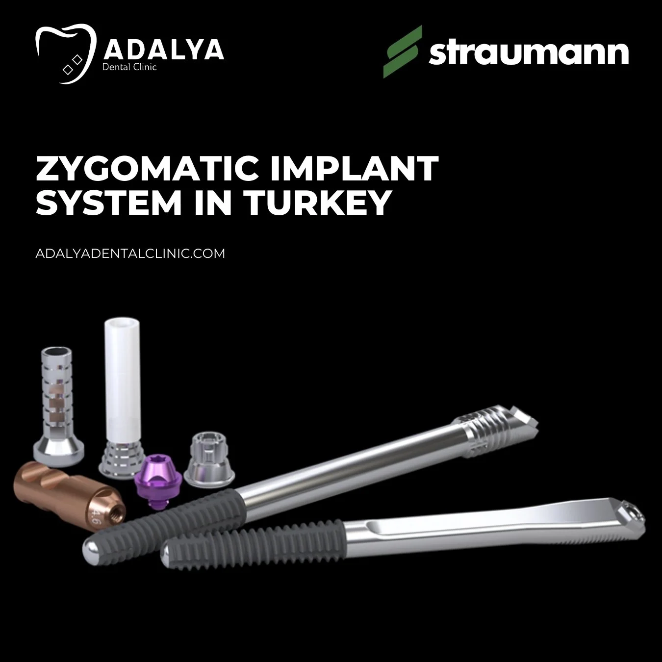 straumann zygomatic zaga implants